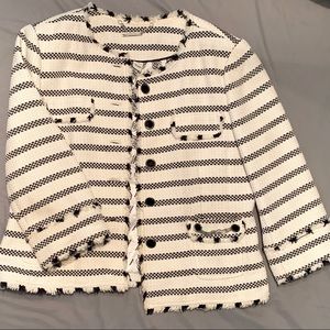 Stylish black and white stripped Jacket